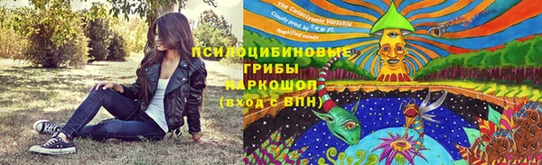 мет Кукмор