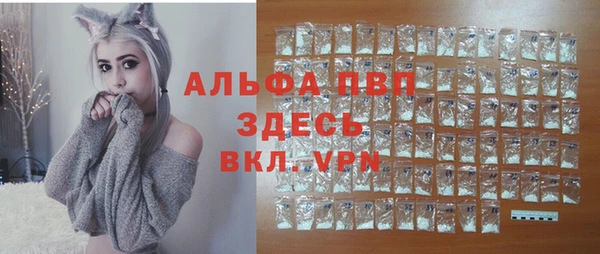 МДПВ Куртамыш